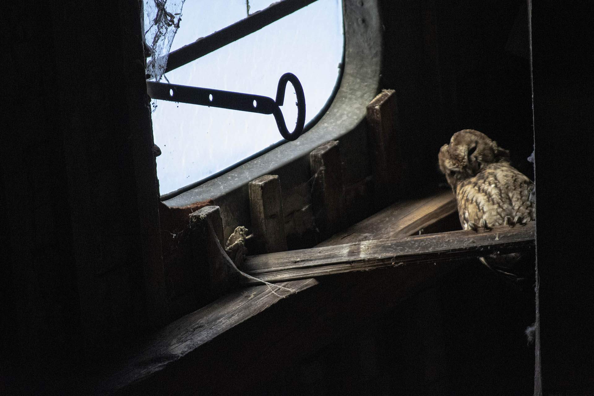 LOST PLACES, verlassene Orte - bergen oft Überraschungen.
