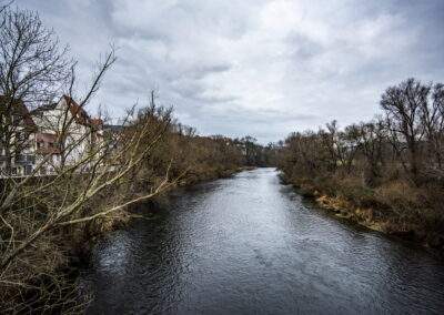 Sichtweisen im Januar 2021