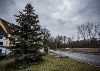 Sichtweisen im Januar 2021