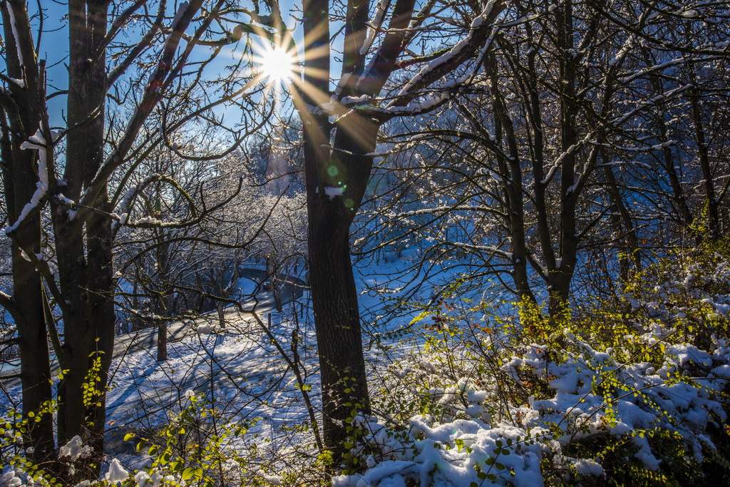 Leuchtenburg entdecken - Winter Wonder Land in Thüringen 10 Winterliche Sichtweisen, betrachtet aus unterschieddlichen Perspektiven.