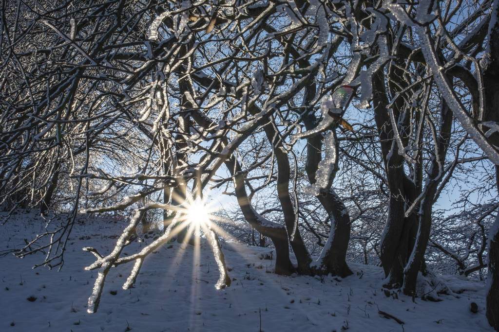 Leuchtenburg entdecken - Winter Wonder Land in Thüringen 4 Winterliche Sichtweisen, betrachtet aus unterschieddlichen Perspektiven.
