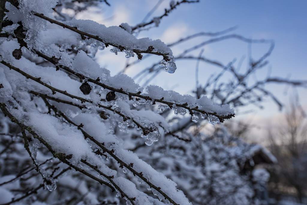 Leuchtenburg entdecken - Winter Wonder Land in Thüringen 11 Winterliche Sichtweisen, betrachtet aus unterschieddlichen Perspektiven.
