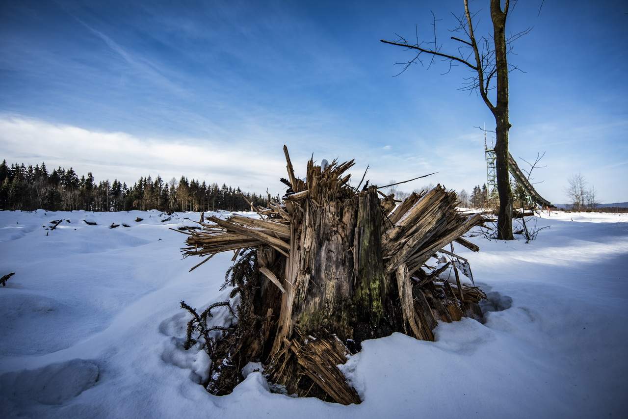 Winterlicher Ausflug zur Sprungschanze von Benneckenstein im Harz 179 Kurt Heyder Schanze