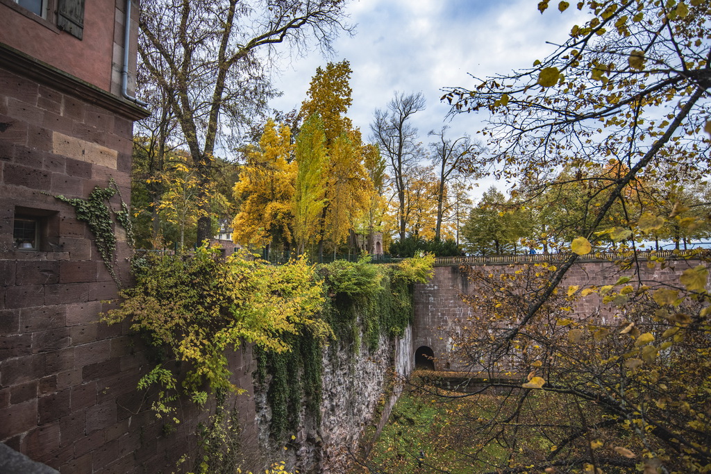 Heidelberg - eine wunderschöne Stadt mit sehr viel Charme 12 Farbenfroh, der Oktober 2021 in Heidelberg.