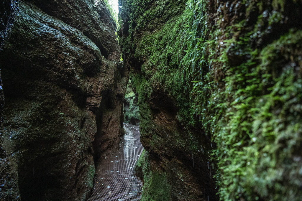 Ausflugsugziele in Thüringen - Drachenschlucht Eisenach 9 Ausflugsziele in Thüringen, Drachenschlucht Eisenach, Foto: Frank Liebold, Jenafotografx