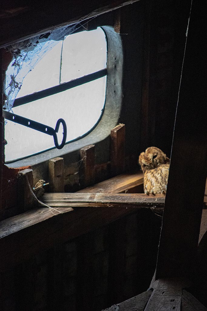 Lost Places - Verlassene Orte in Thüringen und Mitteldeutschland 1 Verlassene Orte haben ihre eigene Vergangenheit.