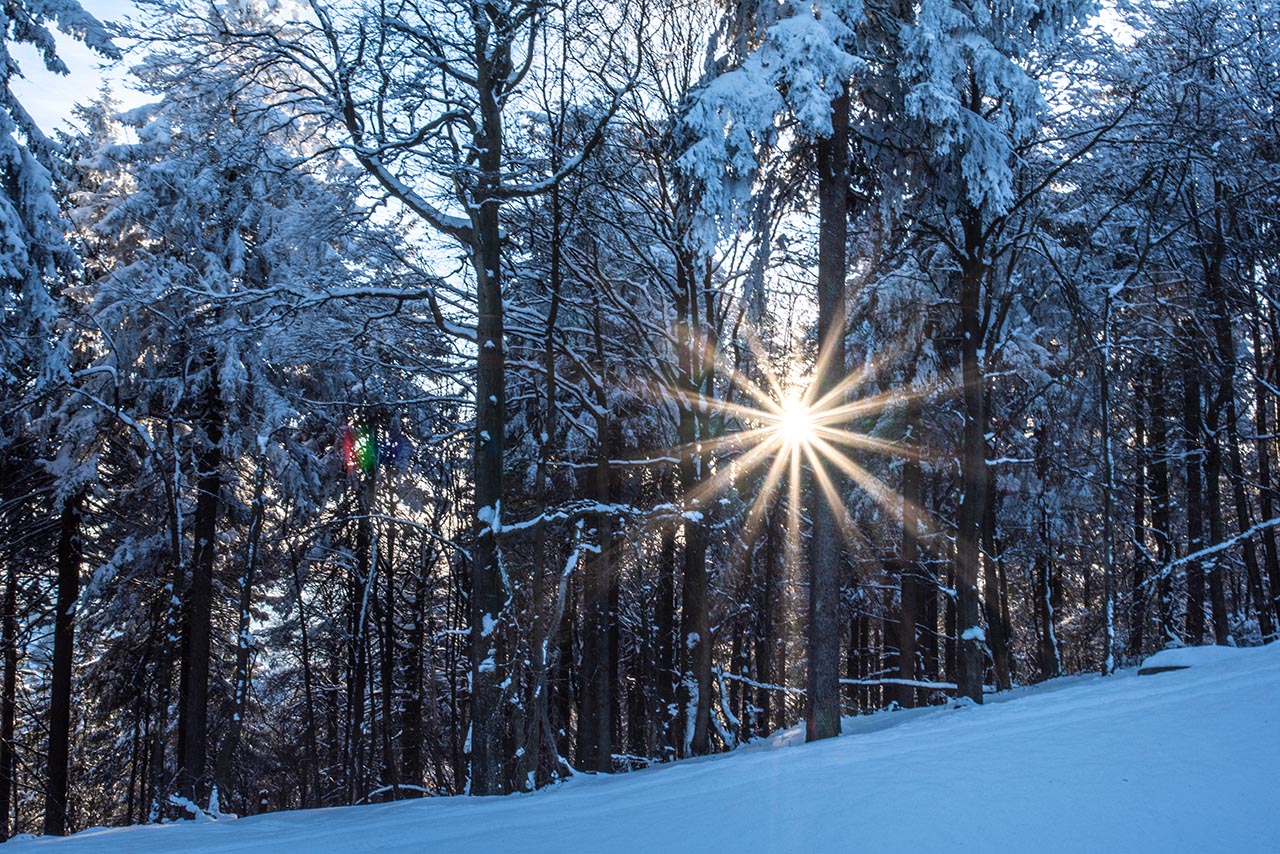 Thüringen – Das Grüne Herz Deutschlands 4 Thüringer Wald im Winter, Schnee und Sonnenstern.