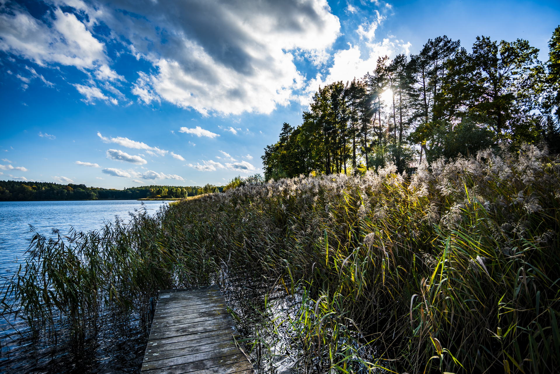 Urlaub in Mecklenburg-Vorpommern im Oktober 2020 4 Glammsee (Warin)
