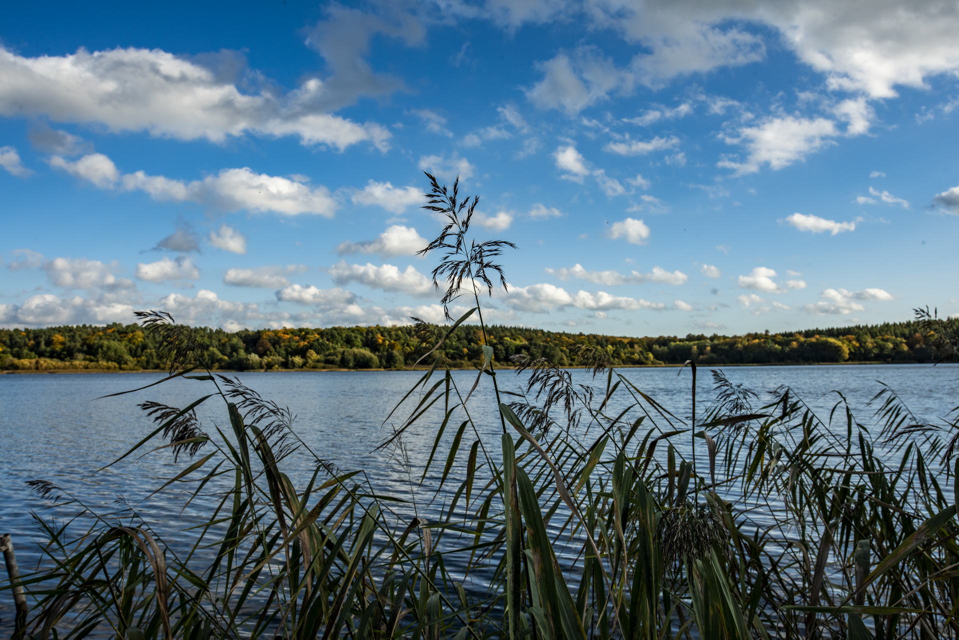 Urlaub in Mecklenburg-Vorpommern im Oktober 2020 5 Glammsee (Warin)