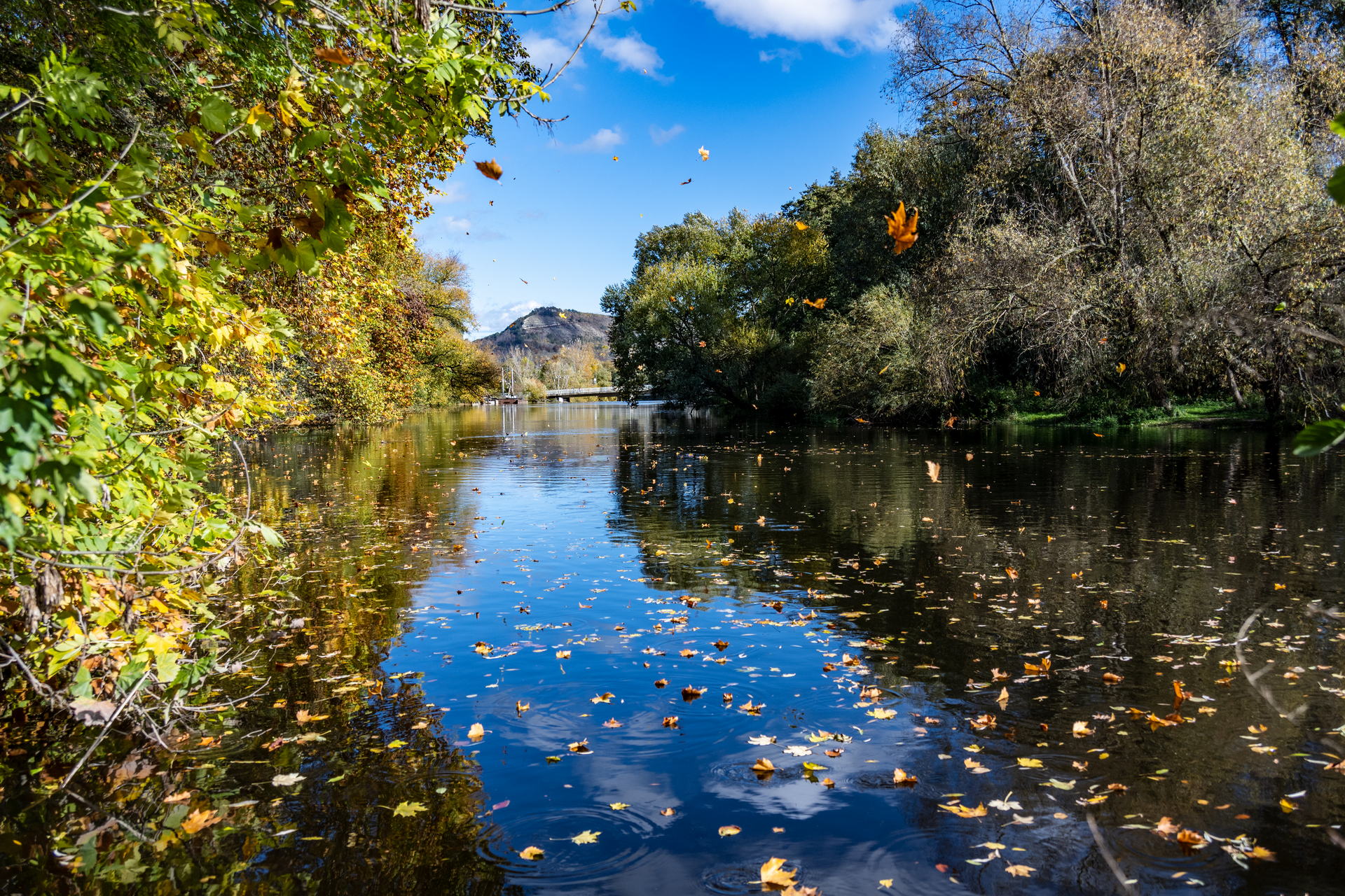 Saale Impressionen 18 Herbst-Impressionen an der Jenaer Saale
