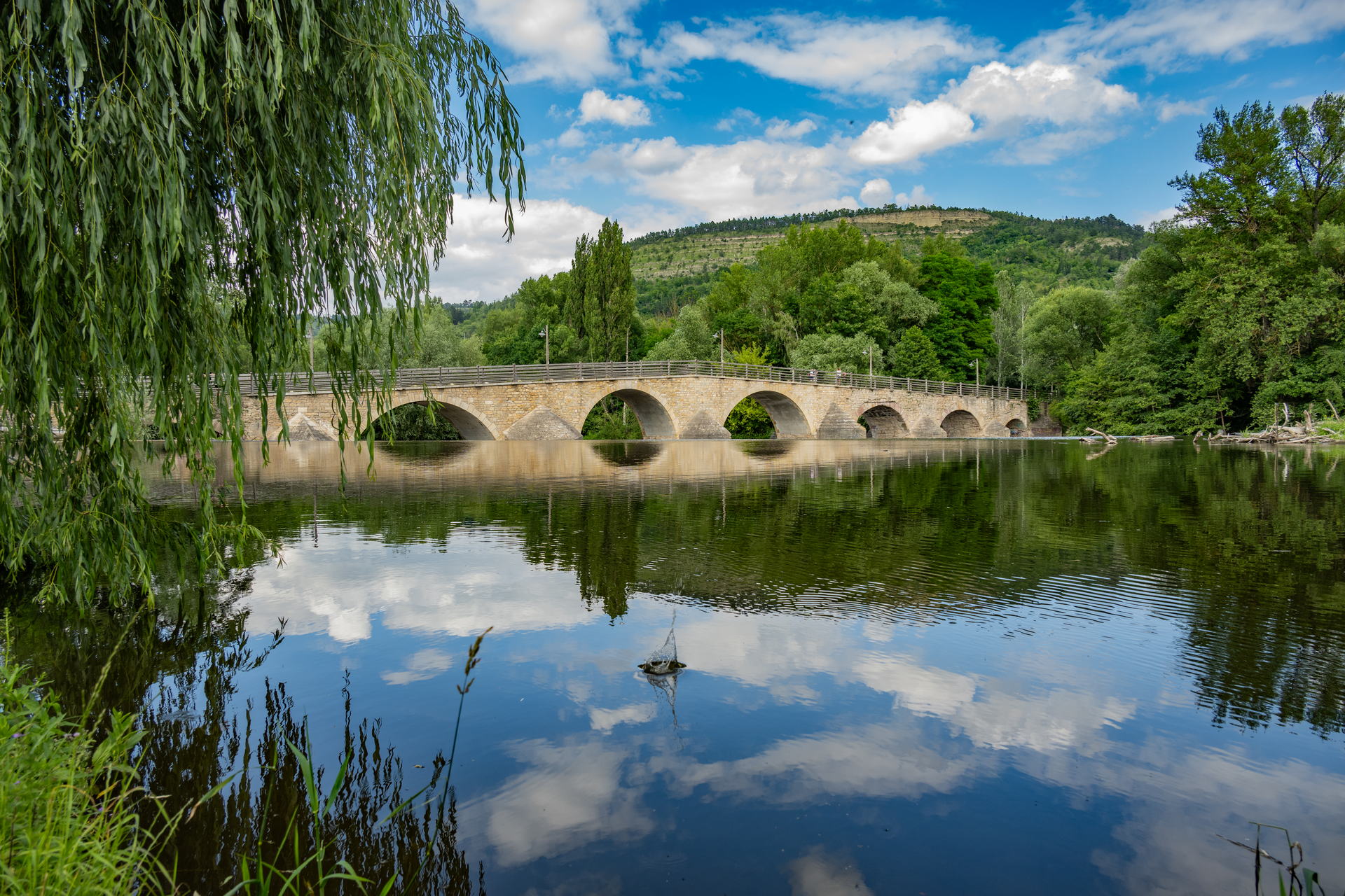 Saale Impressionen 2 Die alte Saalebrücke in Jena-Burgau, betrachtet im Juni 2024.