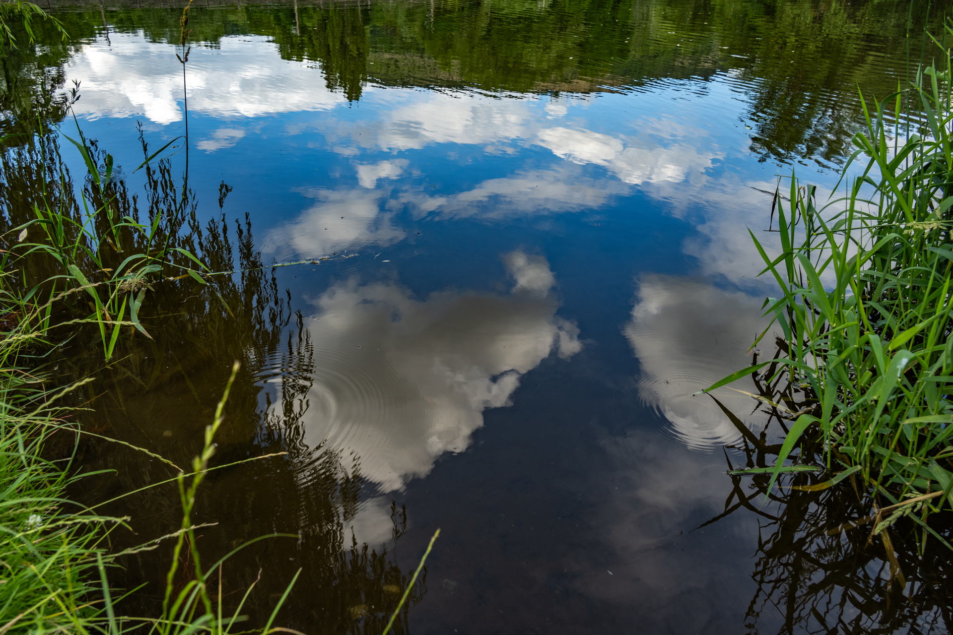 Saale Impressionen 3 Blauer Sommerhimmel mit Wolken. Spiegelung in der Saale, eingefangen am Wehr in Jena-Burgau.