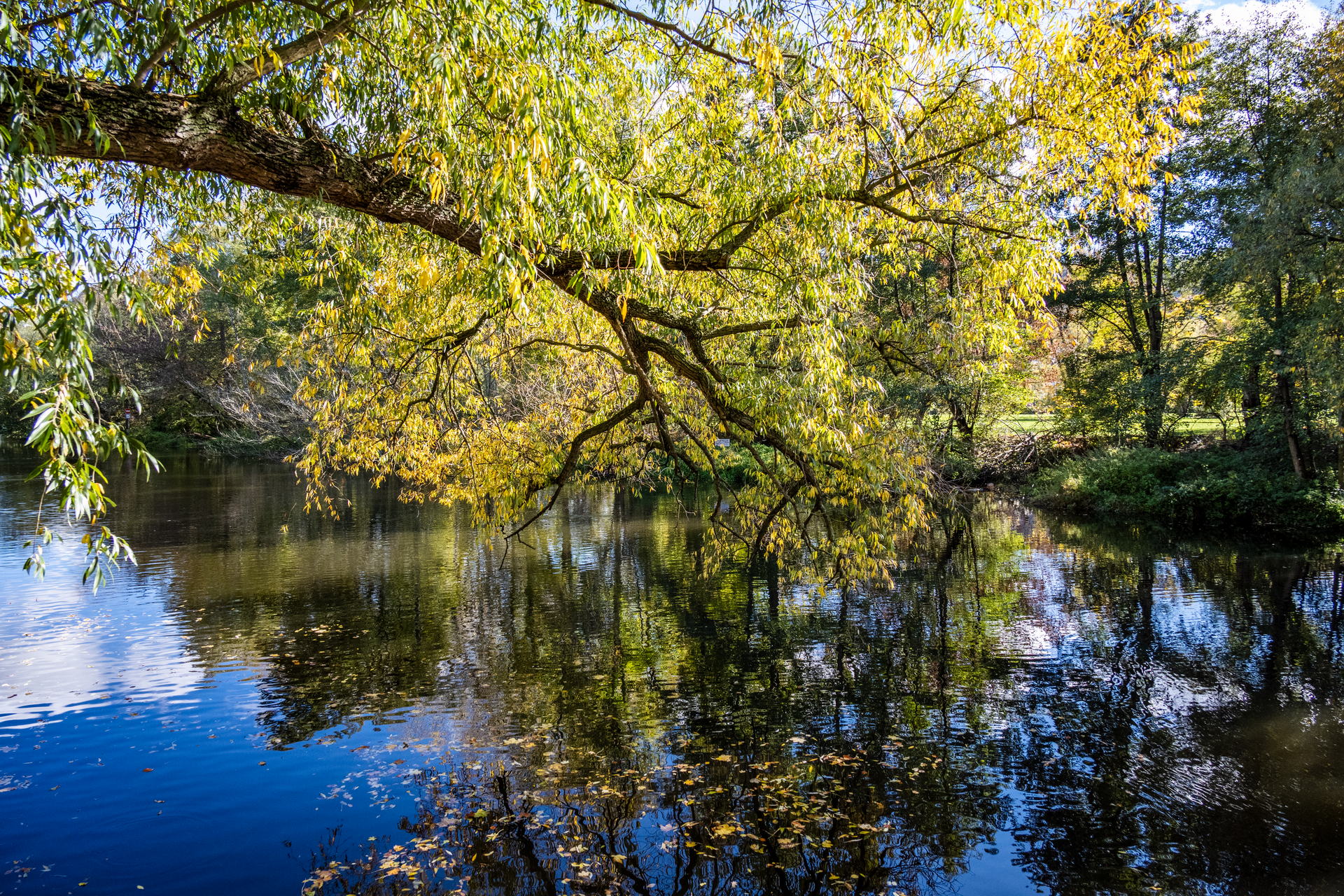 Saale Impressionen 20 Der Goldene Oktober. Saale-Impressionen im Herbst in Jena.