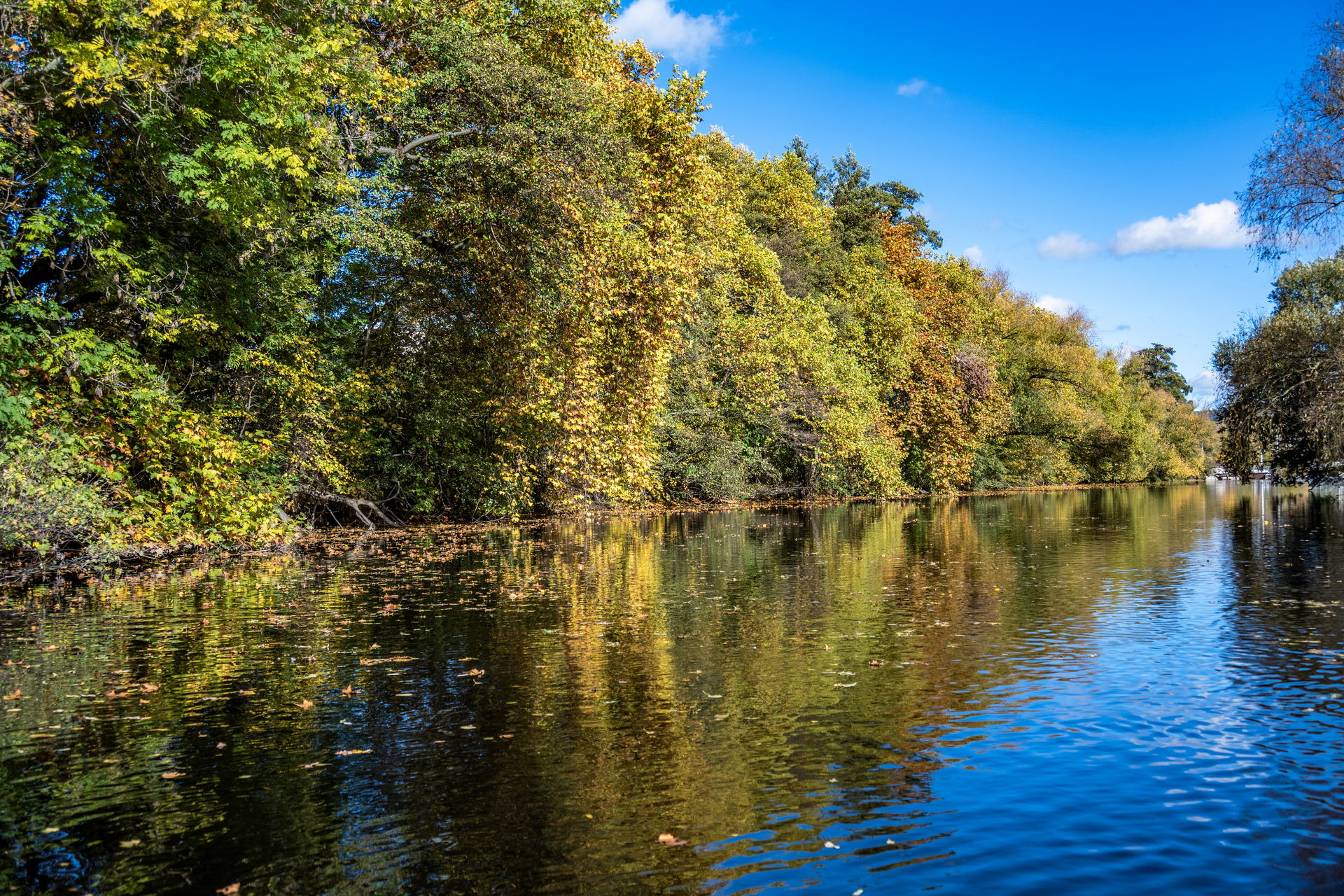 Saale Impressionen 19 Der Herbst malt die schönsten Farben. Auch an der Saale in Jena.