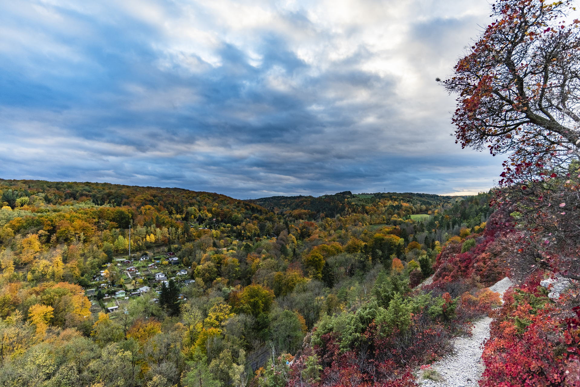Perückensträucher in Jena 2025 - Herbstfarben im Mühltal 8 Die leuchtenden Perückensträucher sind nicht nur ein visuelles Highlight, sondern auch ein Symbol für die Schönheit der Natur. Ideal für einen Tagesausflug während der Ferienzeit – genießen Sie die Stille, die Farben und die frische Luft des Jenaer Herbstes.