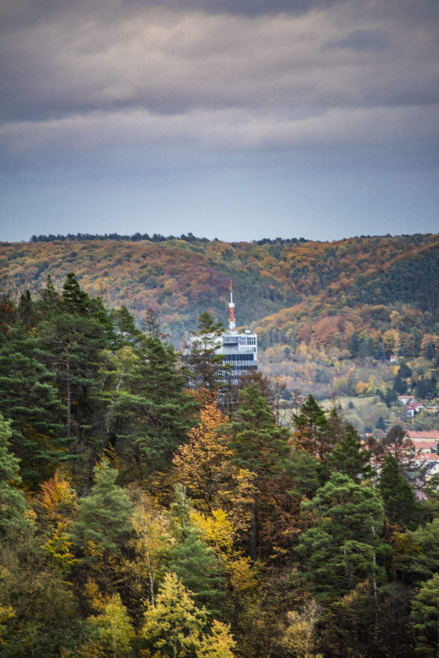 Herbstleuchten im Mühltal: Perückensträucher in Jena. Ein Ausflugstipp für die Herbstferien. Herbstleuchten im Mühltal: Perückensträucher in Jena. Ein Ausflugstipp für die Herbstferien.