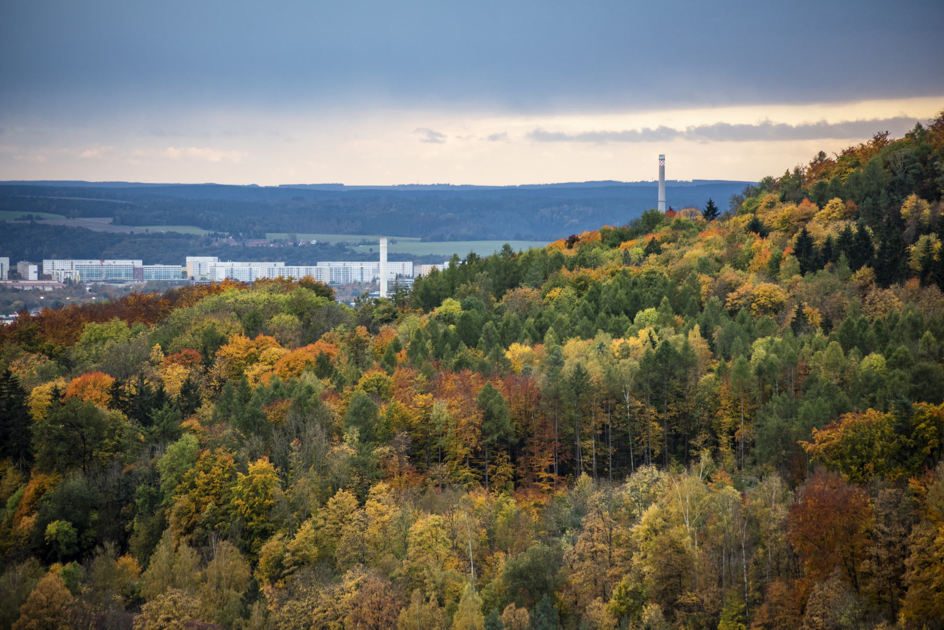 Perückensträucher in Jena 2025 - Herbstfarben im Mühltal 10 Die leuchtenden Perückensträucher sind nicht nur ein visuelles Highlight, sondern auch ein Symbol für die Schönheit der Natur. Ideal für einen Tagesausflug während der Ferienzeit – genießen Sie die Stille, die Farben und die frische Luft des Jenaer Herbstes.