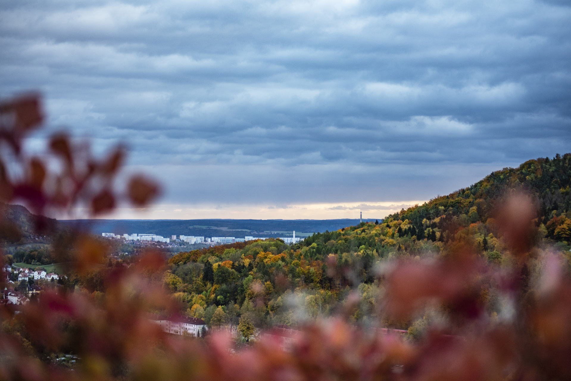 Perückensträucher in Jena 2025 - Herbstfarben im Mühltal 11 Die leuchtenden Perückensträucher sind nicht nur ein visuelles Highlight, sondern auch ein Symbol für die Schönheit der Natur. Ideal für einen Tagesausflug während der Ferienzeit – genießen Sie die Stille, die Farben und die frische Luft des Jenaer Herbstes.