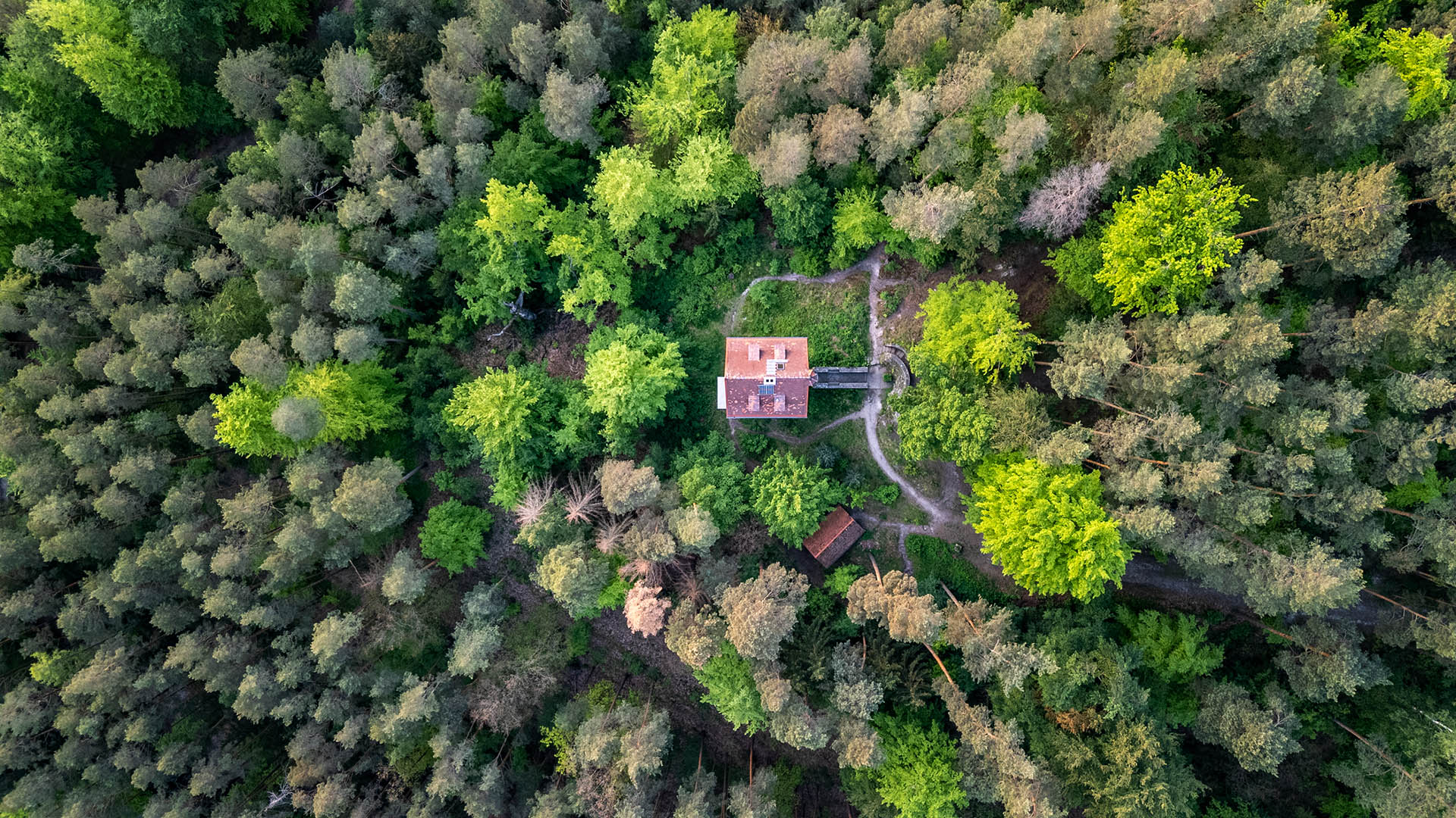 Jagdanlage Rieseneck mit dem Herzogstuhl. Drohnenfotografie Jenafotografx Jagdanlage Rieseneck mit dem Herzogstuhl. Drohnenfotografie Jenafotografx