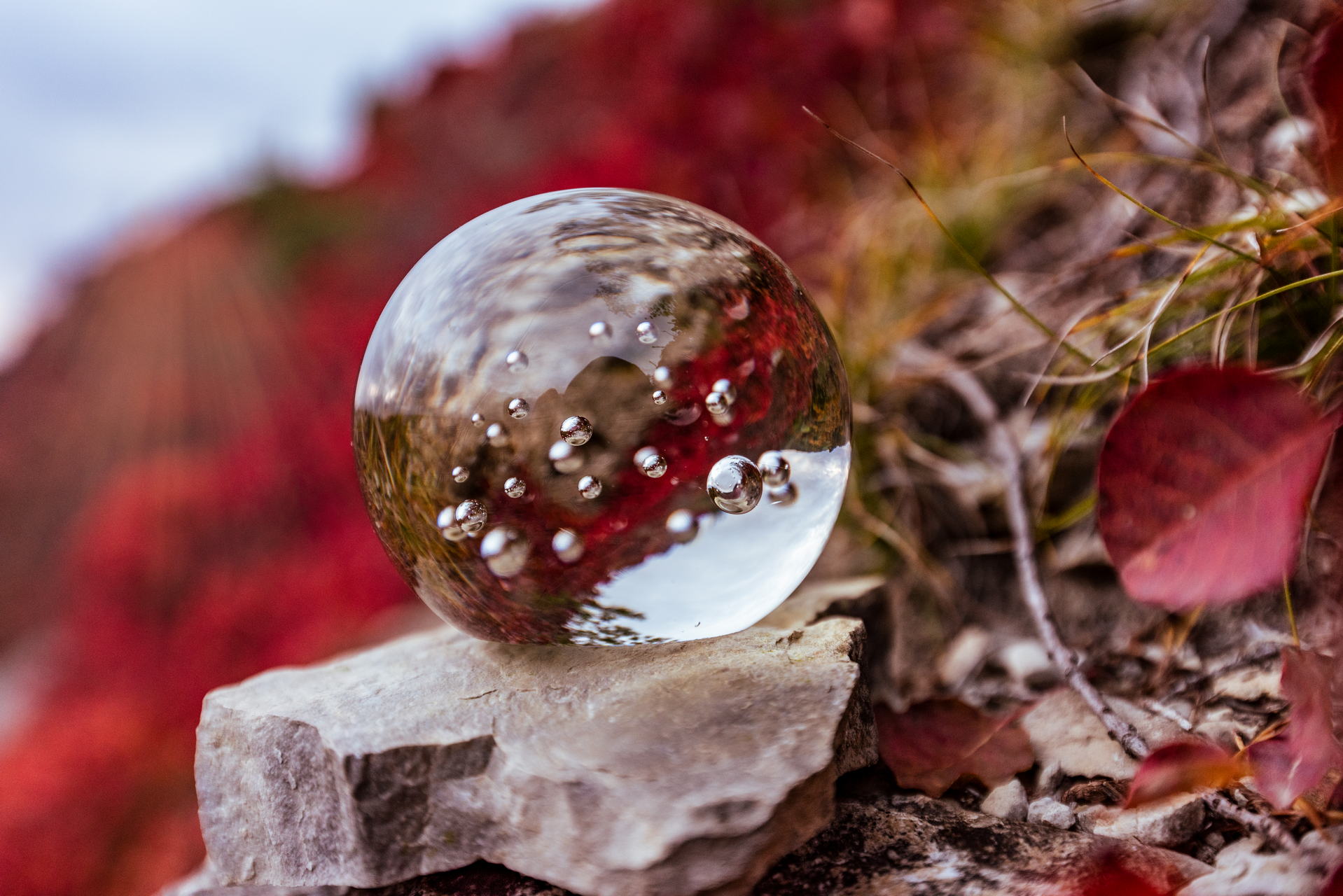 Perückensträucher in Jena 2025 - Herbstfarben im Mühltal 7 Perückensträucher Jena in ihrer herbstlichen Pracht