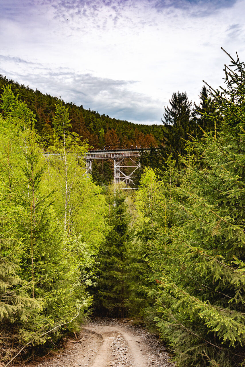 Ziemestalbrücke, die Brücke im Wald. Lostplaces in Thüringen entdecken. Foto: Frank Liebold, Jenafotografx