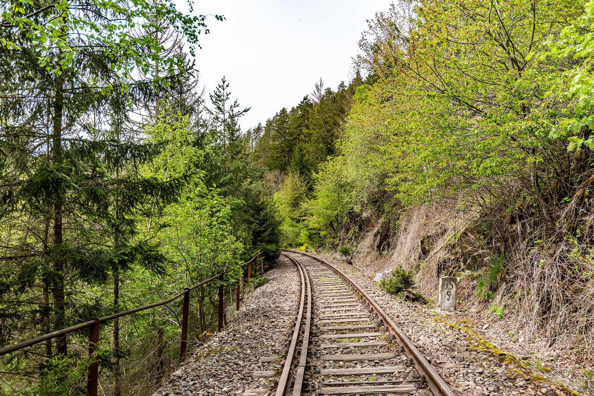 Lostplaces in mitten grüner Natur: Ziemestalbrücke in Thüringen. Foto: Frank Liebold, Jenafotografx