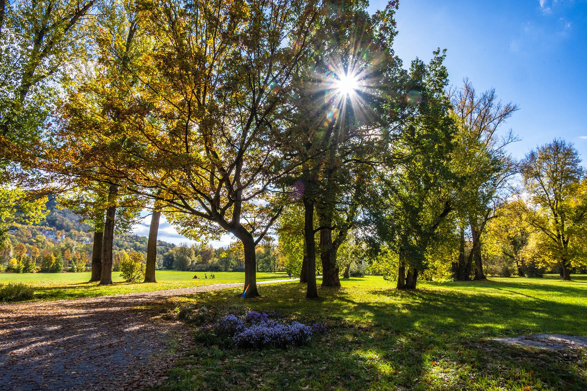 Die Herbstsonne im Jenaer Paradies. Die Herbstsonne im Jenaer Paradies.