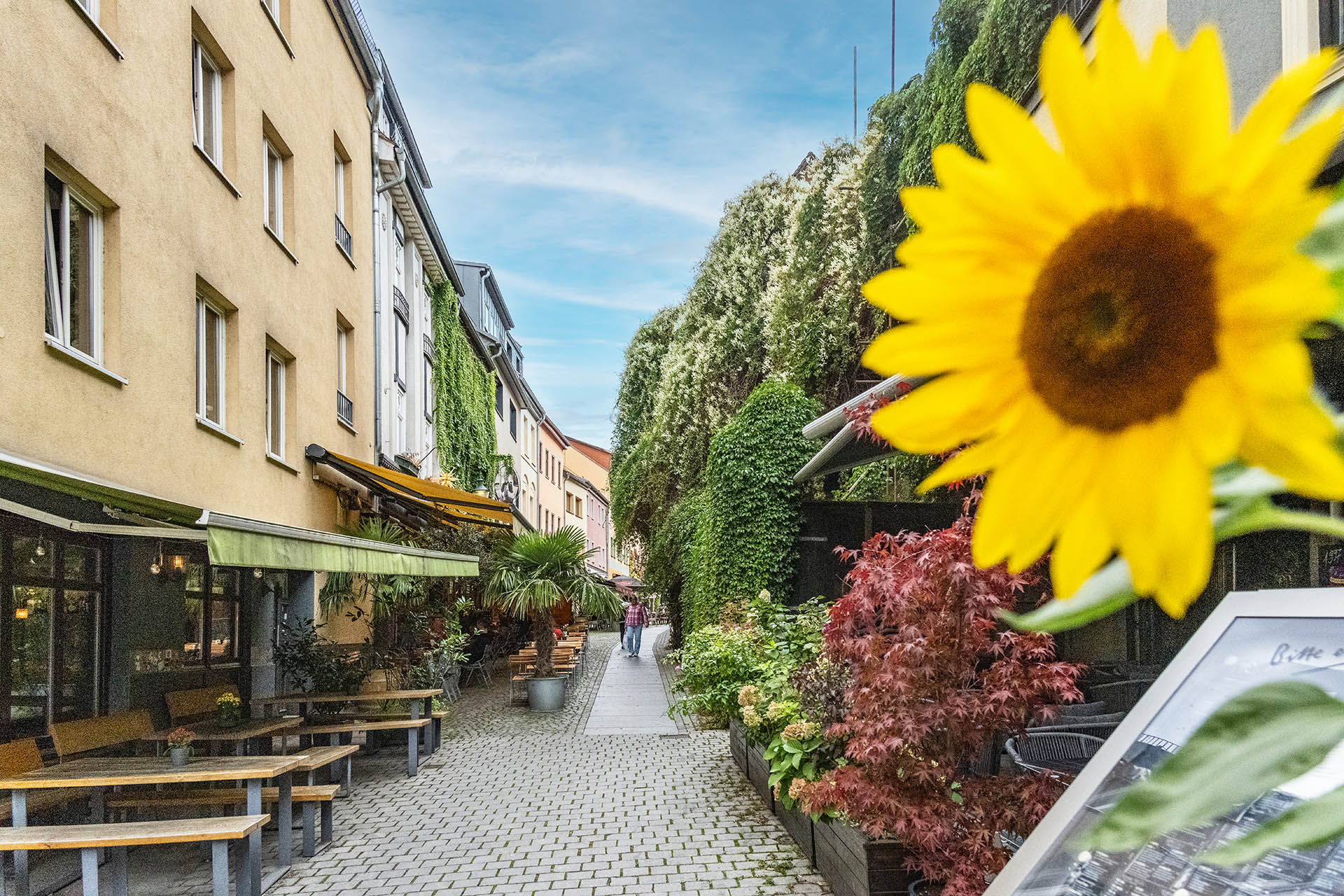 Jena - Die Lichtstadt: Eindrucksvoller Bildband erschienen 3 Jena, Innenstadt - Perspektive Richtung Uni Campus, der entstehht.