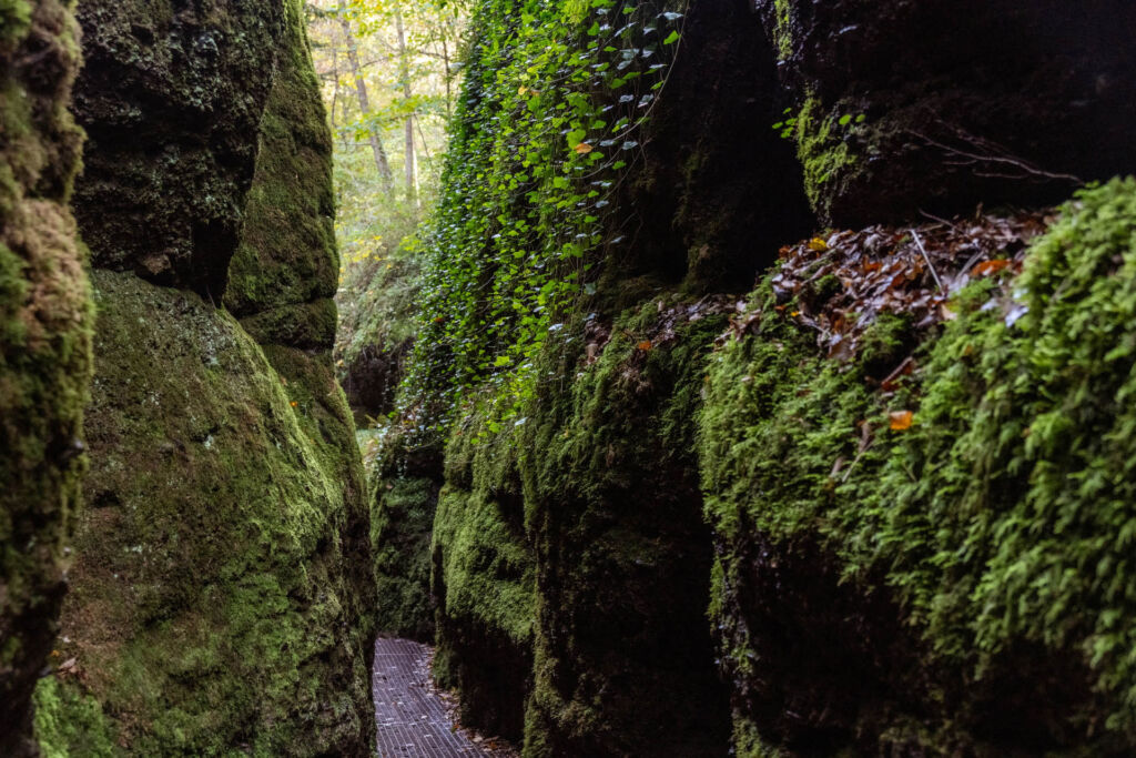 Wandern in der Drachenschlucht: Natur pur in Thüringen
