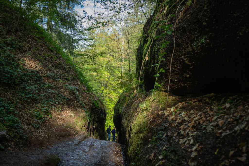 Fotografische Entdeckungsreise durch die Drachenschlucht bei Eisenach im Herzen des Thüringer Waldes.