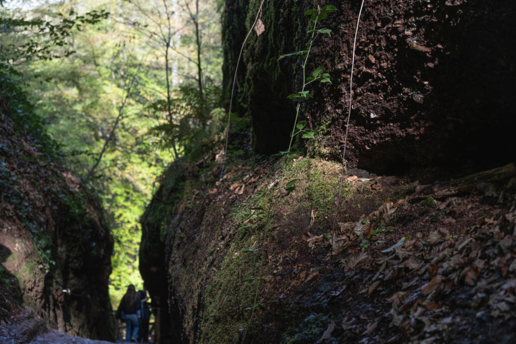 Die Drachenschlucht Eisenach bietet beeindruckende Natur, enge Felsgassen und fantastische Fotomotive.