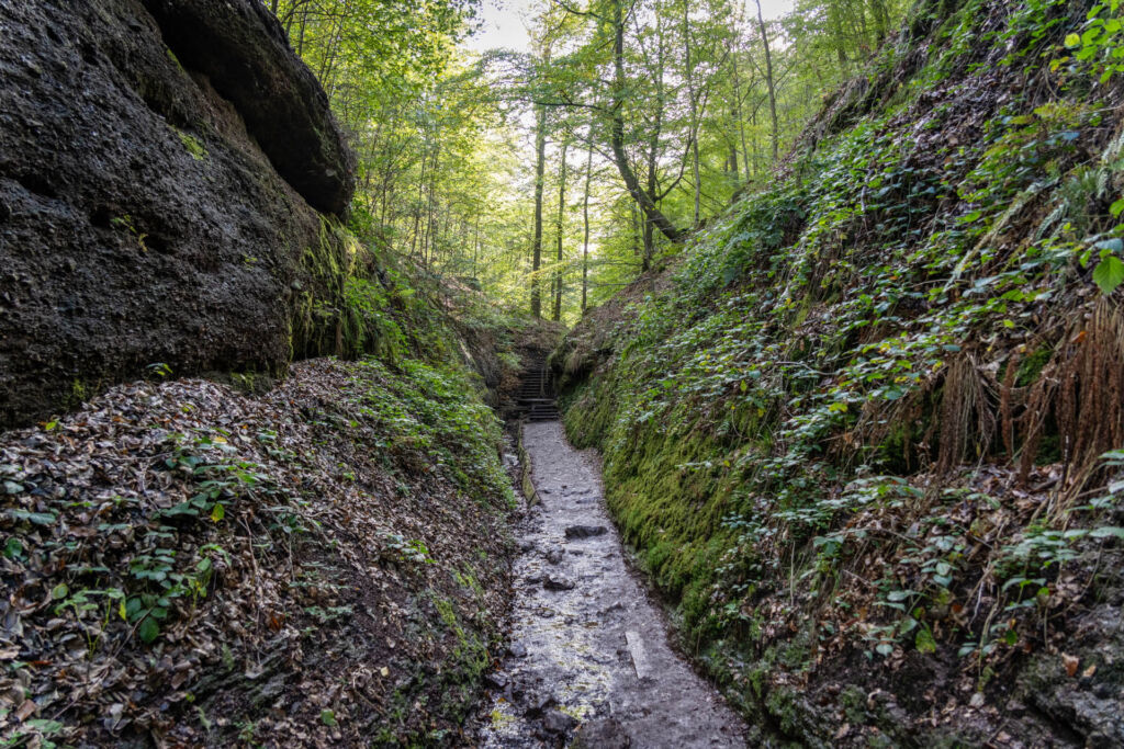 Wandern durch die Drachenschlucht: Tipps, Eindrücke und Fotografie in Thüringens schönster Felsschlucht.