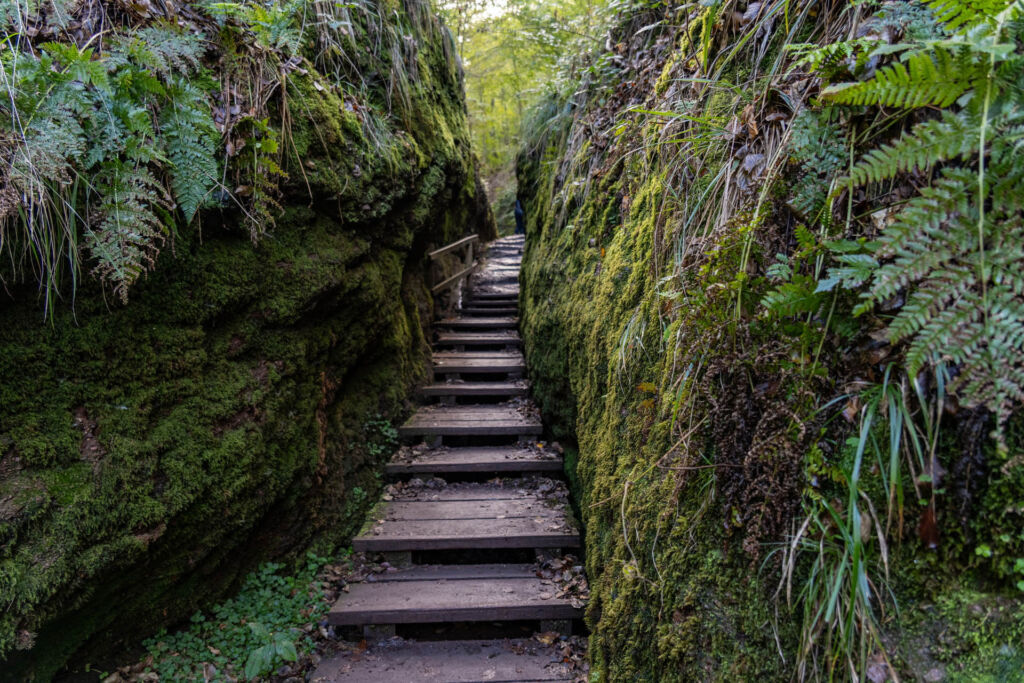 Entdecke die Drachenschlucht bei Eisenach, eines der spektakulärsten Naturwunder Thüringens.
