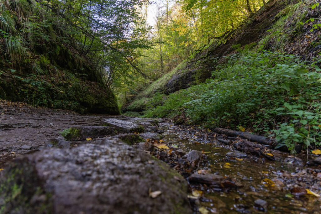 Die Drachenschlucht bei Eisenach zählt zu den beeindruckendsten Naturwundern Thüringens.