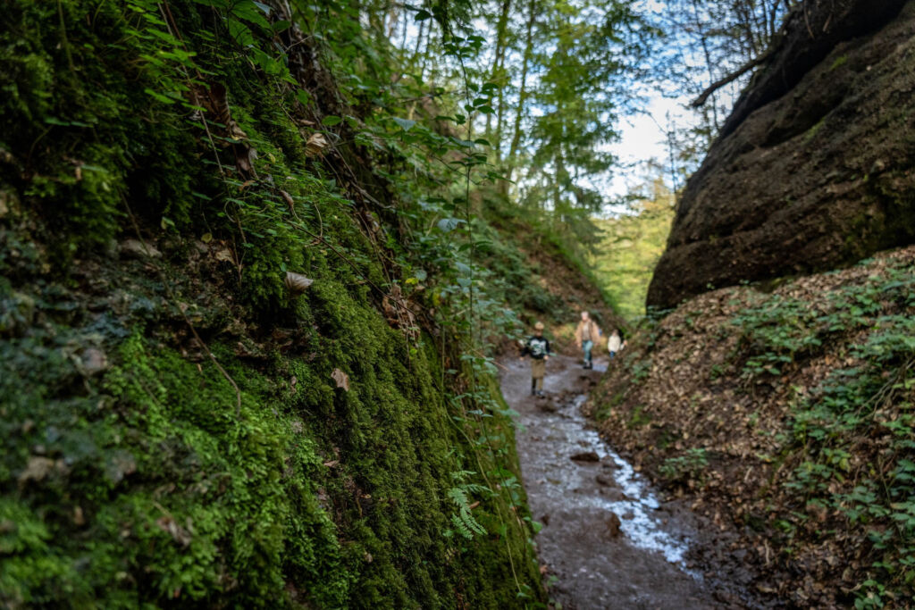 Thüringens Naturjuwel: Die Drachenschlucht bei Eisenach