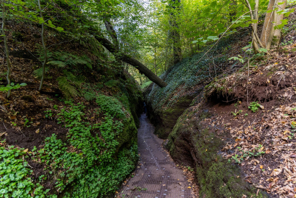 Blick durch die moosbewachsene Drachenschlucht bei Eisenach mit engen Felspassagen, hohen Felswänden und dem durch die Schlucht fließenden Marienbach im Thüringer Wald