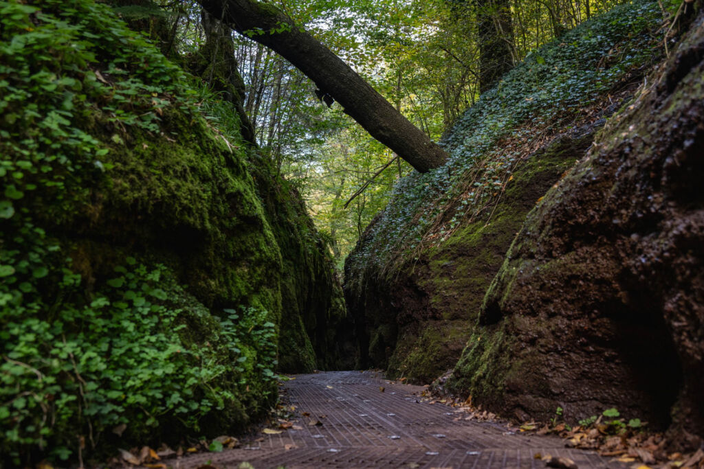 Blick durch die moosbewachsene Drachenschlucht bei Eisenach mit engen Felspassagen, hohen Felswänden und dem durch die Schlucht fließenden Marienbach im Thüringer Wald