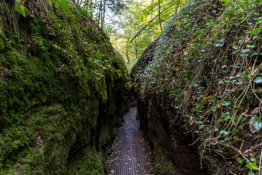 Sehenswürdigkeiten Eisenach