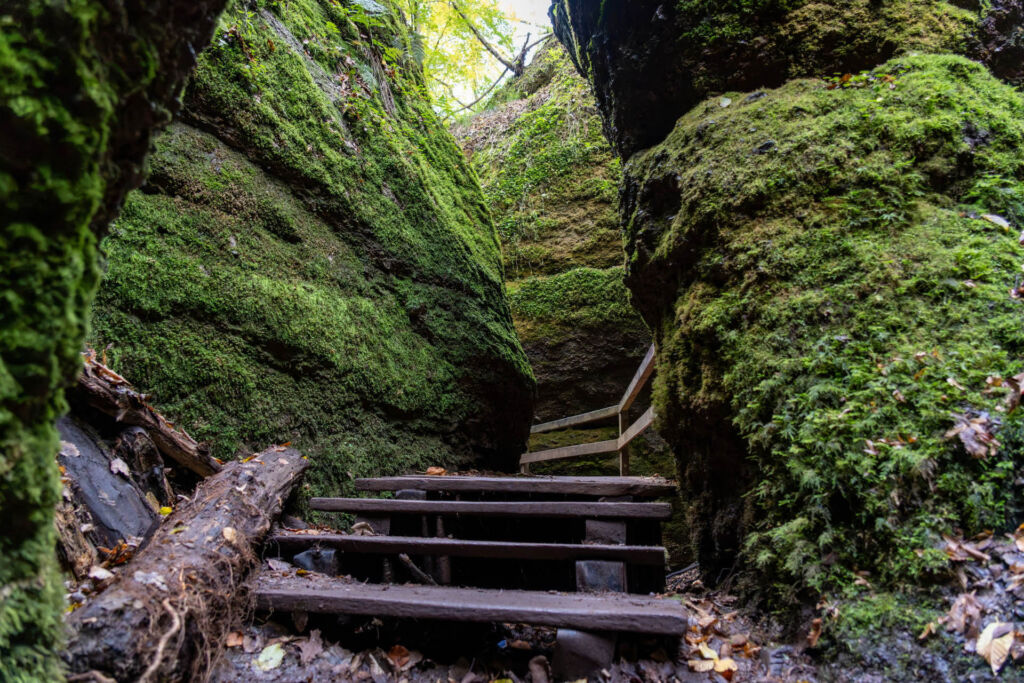 Drachenschlucht Eisenach: Ein magisches Naturwunder im Thüringer Wald