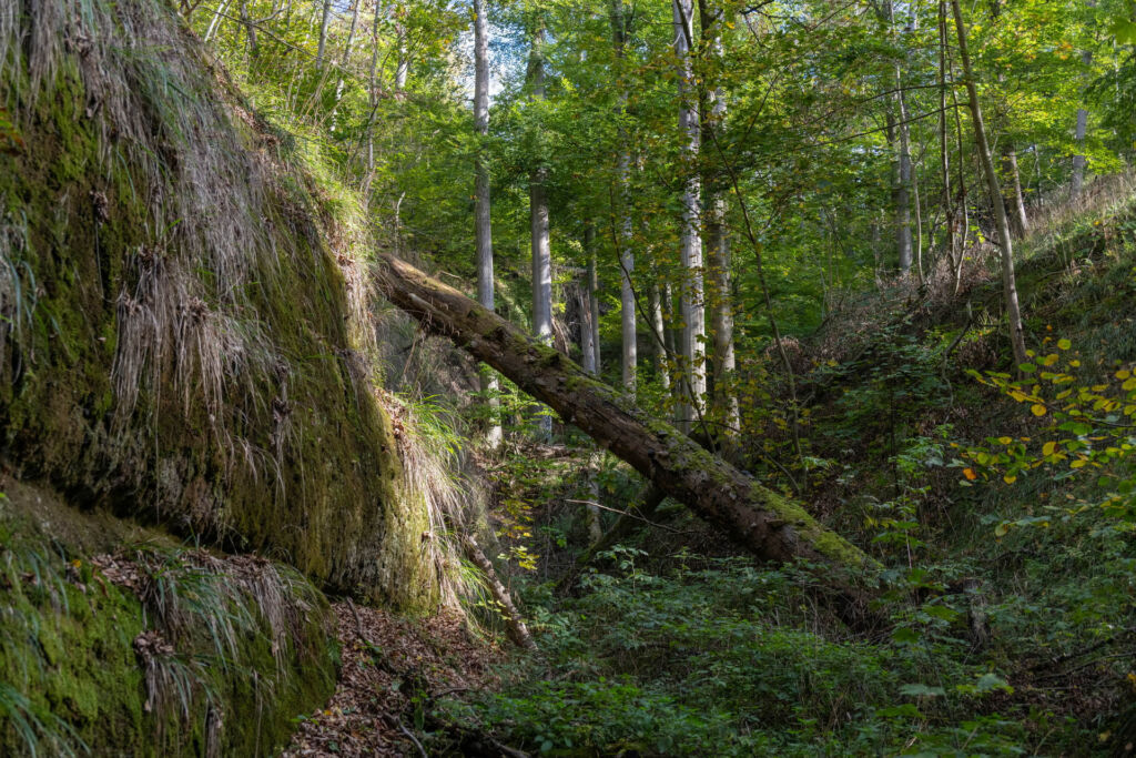 Die Drachenschlucht aus fotografischer Sicht