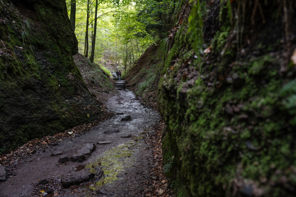 Geschichte und Mythen rund um die Drachenschlucht